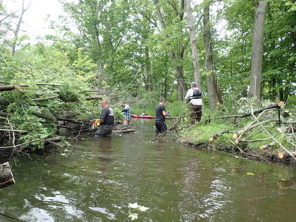 River cleanup-clearing trees